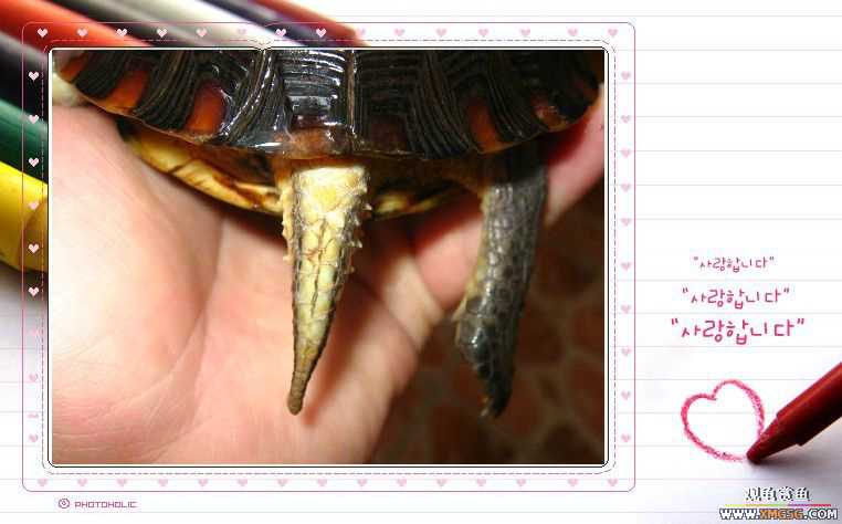 ��aľ������תһֻ״̬�ù�Ե