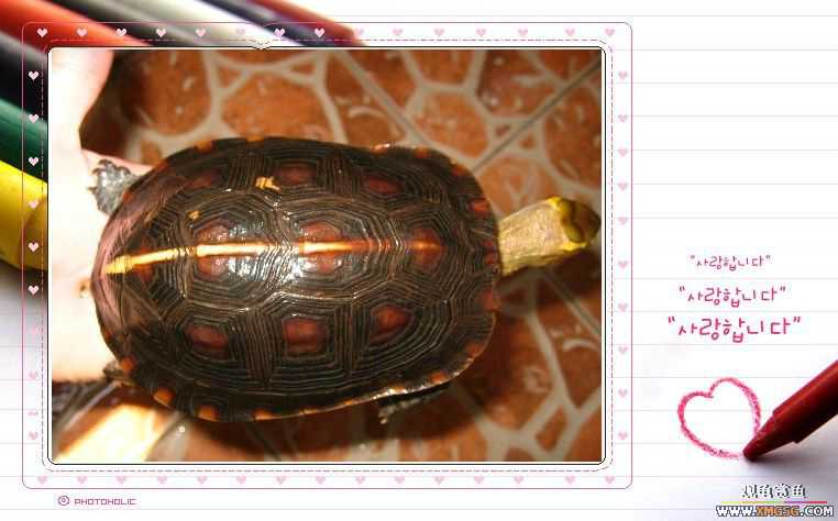 ��aľ������תһֻ״̬�ù�Ե