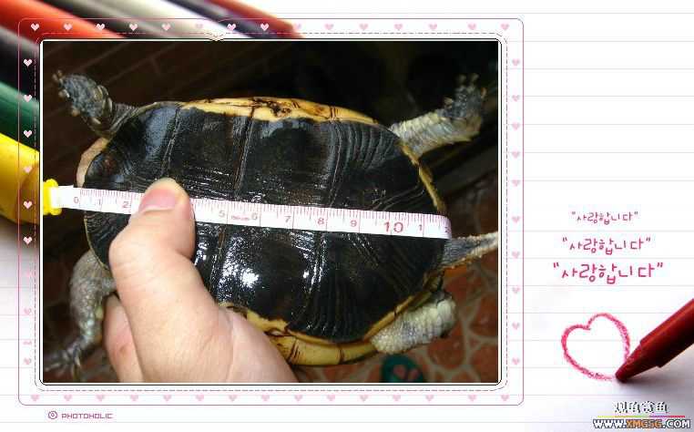 ��aľ������תһֻ״̬�ù�Ե