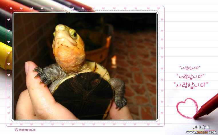 ��aľ������תһֻ״̬�ù�Ե