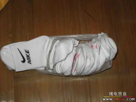 [ԭ��]����������---װ����