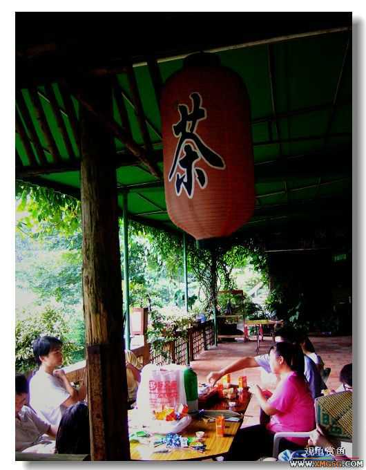 [ԭ��]2007��ȹ۹���̳����������