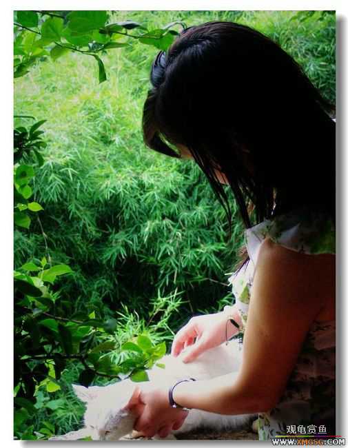 [ԭ��]2007��ȹ۹���̳����������