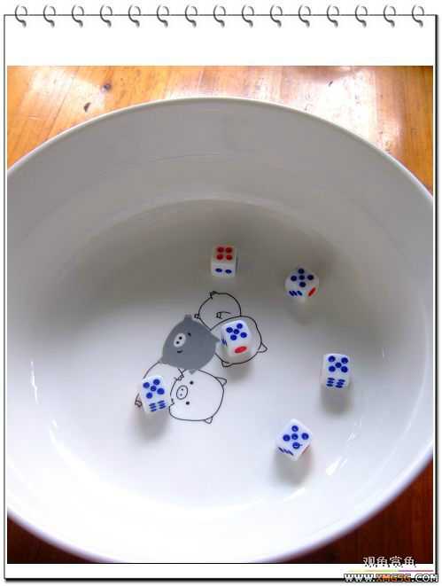 [ԭ��]2007��ȹ۹���̳����������