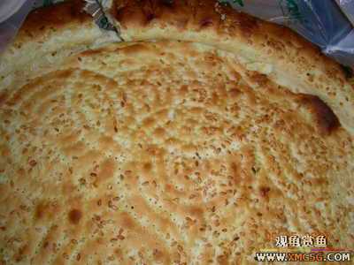 ���½����γ�ʲô