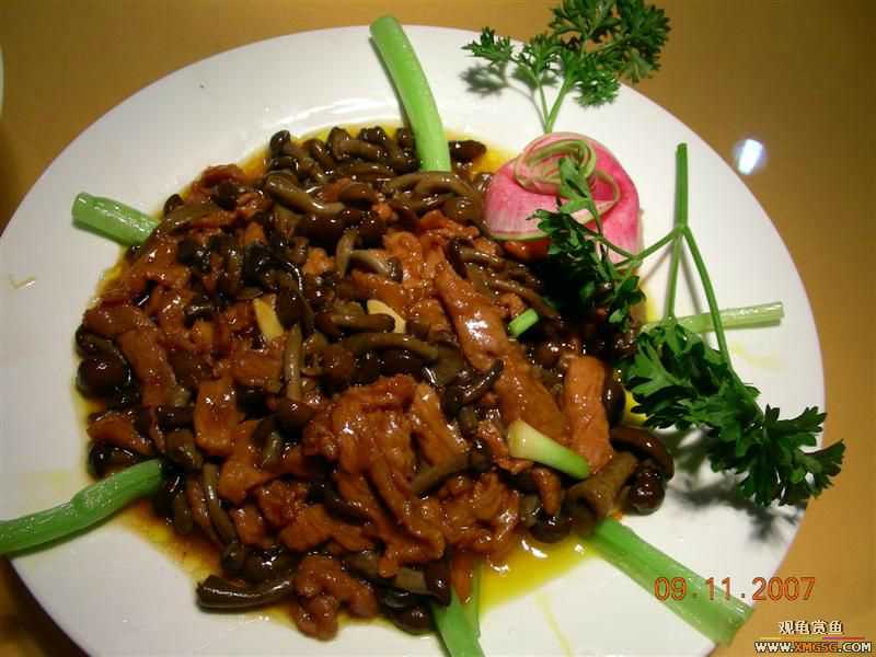 ���½����γ�ʲô