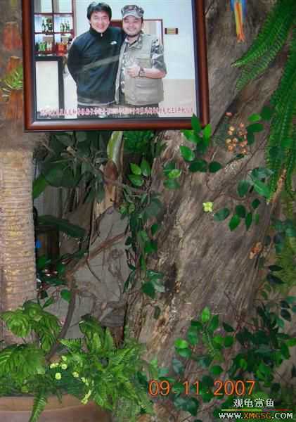 ���½����γ�ʲô