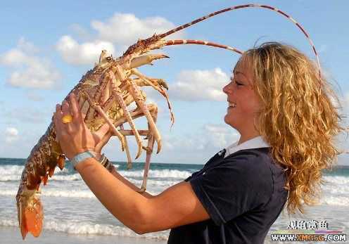 Ӣ�����񳬴���Ϻ �����������¼