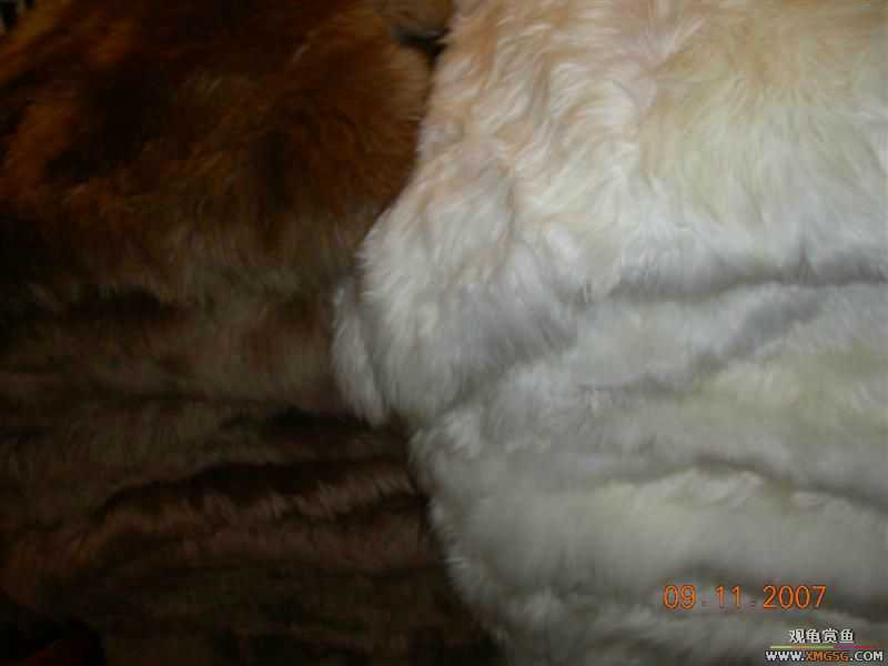 ��Ǯ����,Ϊ������