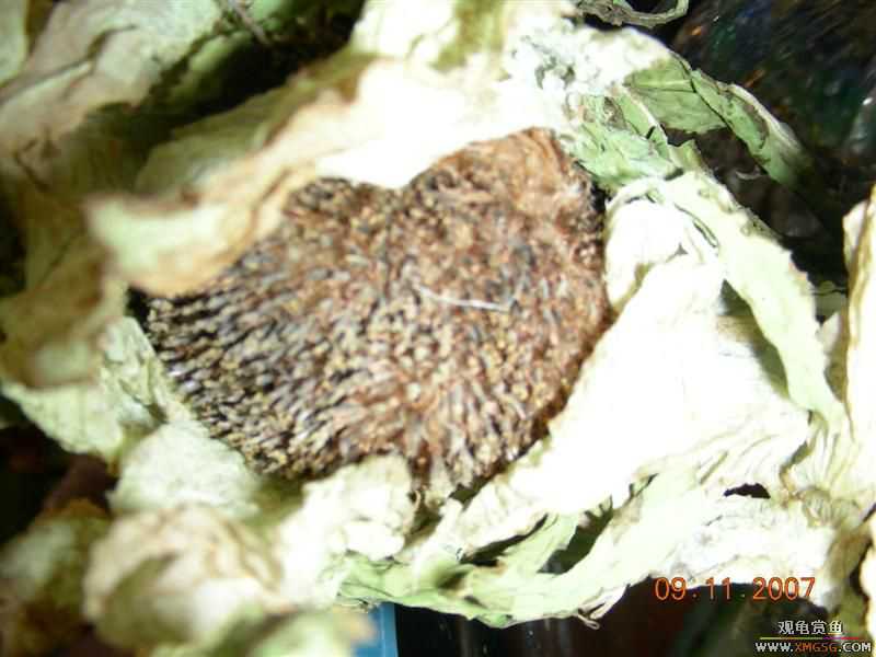 ��Ǯ����,Ϊ������