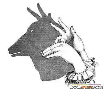 [ת��]�ְ��ֽ�����Ӱ��ϷŶ